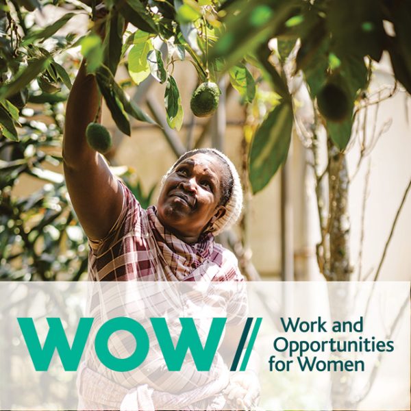 WOW featured image